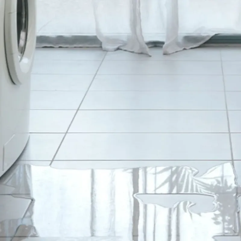 Appliance Leak Cleanup in Clinton, MI