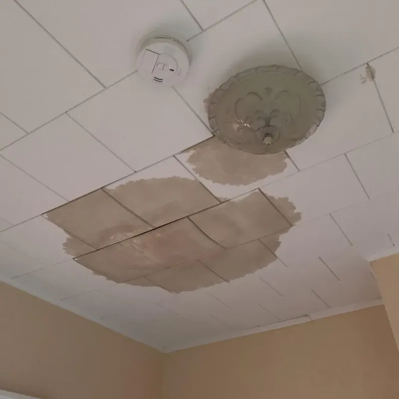 Ceiling Water Damage Repair in Clinton, MI