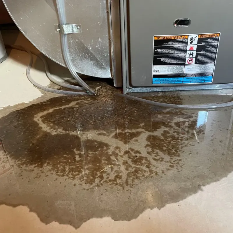 Pipe Burst and Leak Restoration in Clinton, MI