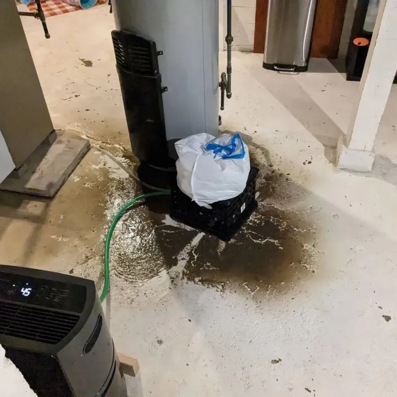 Sewage Backup Cleanup Service in Clinton, MI